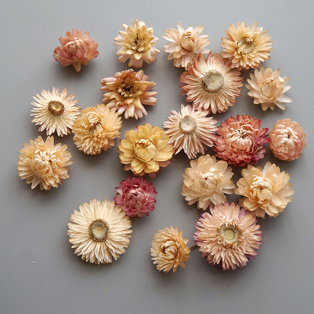 Natural Dried Colorful Chrysan - Hair Care Nature recension och pris